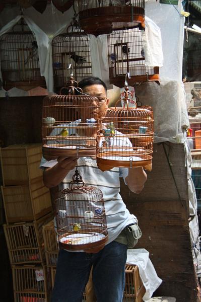 IMG_1268.jpg - kawloon bird market